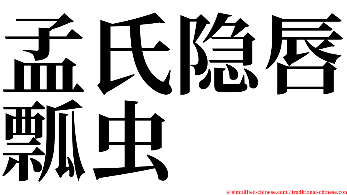 孟氏隐唇瓢虫 serif font