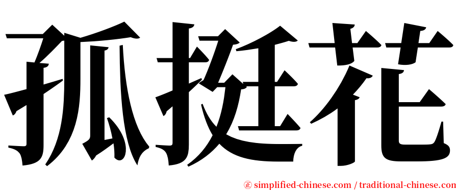 孤挺花 serif font