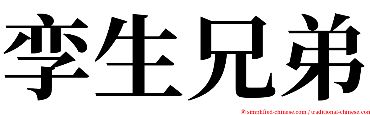 孪生兄弟 serif font