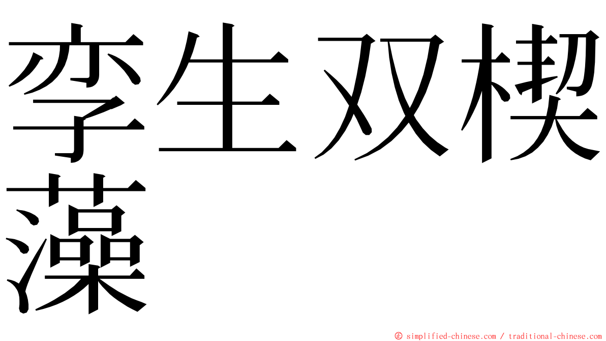 孪生双楔藻 ming font