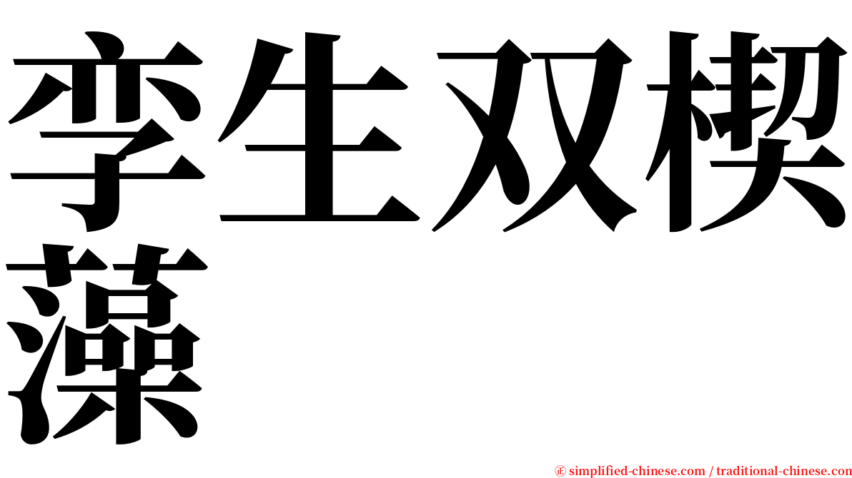 孪生双楔藻 serif font