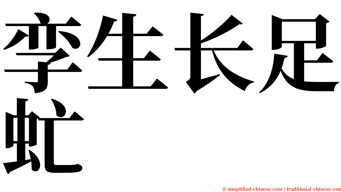 孪生长足虻 serif font