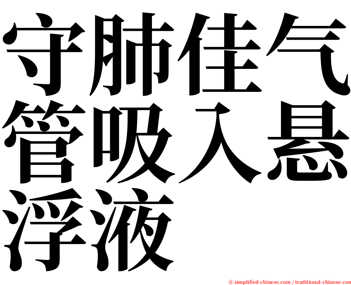 守肺佳气管吸入悬浮液 serif font