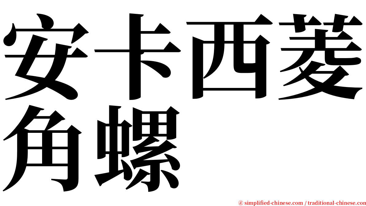 安卡西菱角螺 serif font