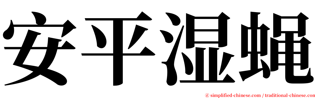 安平湿蝇 serif font