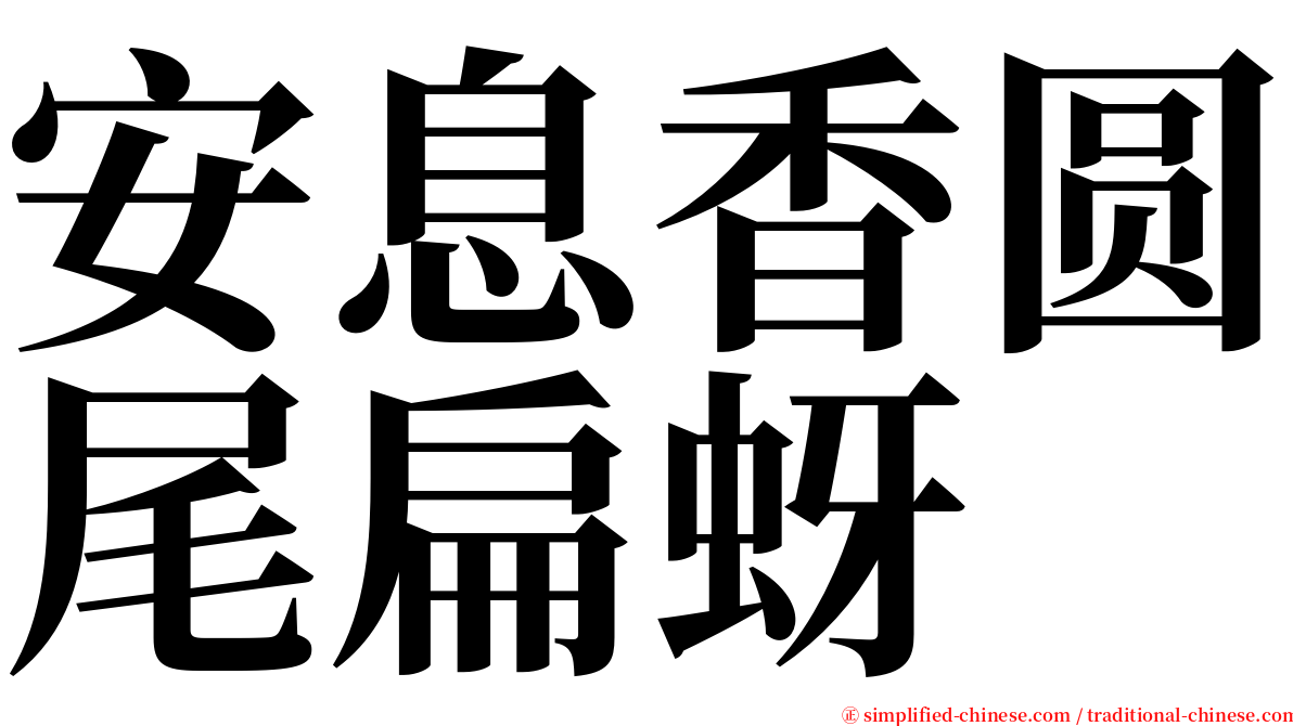 安息香圆尾扁蚜 serif font