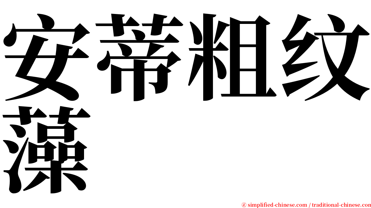 安蒂粗纹藻 serif font