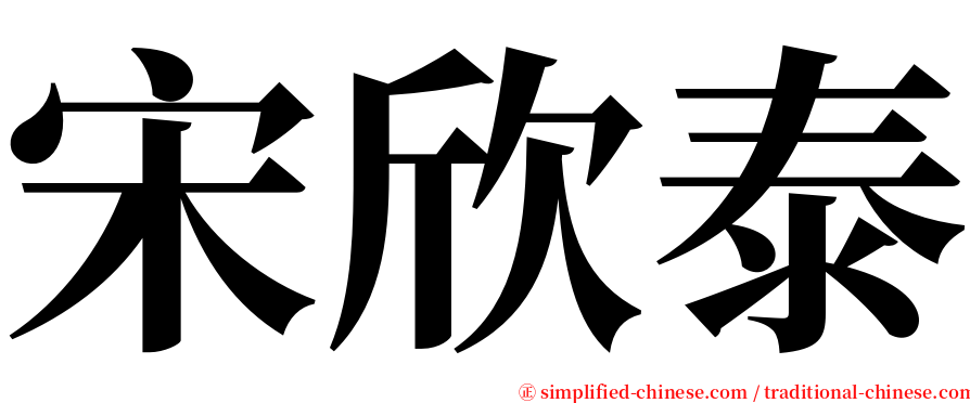 宋欣泰 serif font