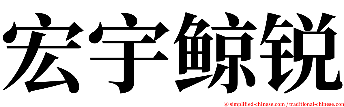 宏宇鲸锐 serif font