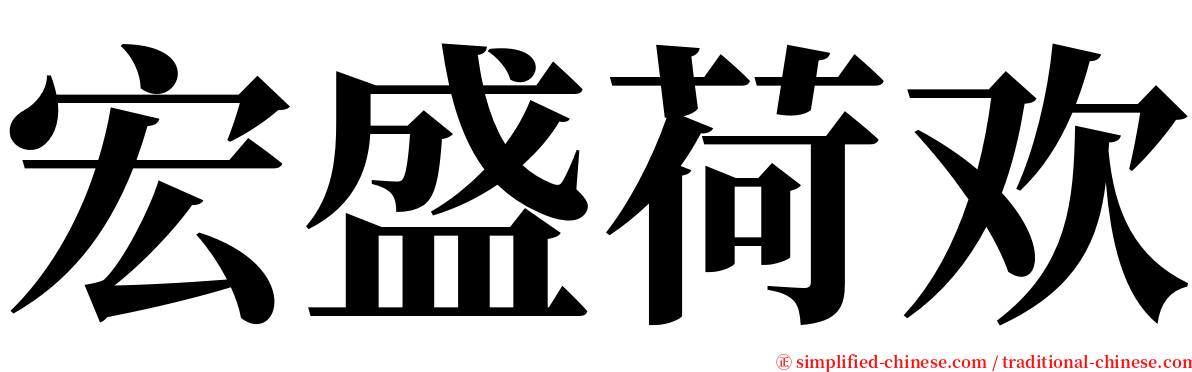 宏盛荷欢 serif font