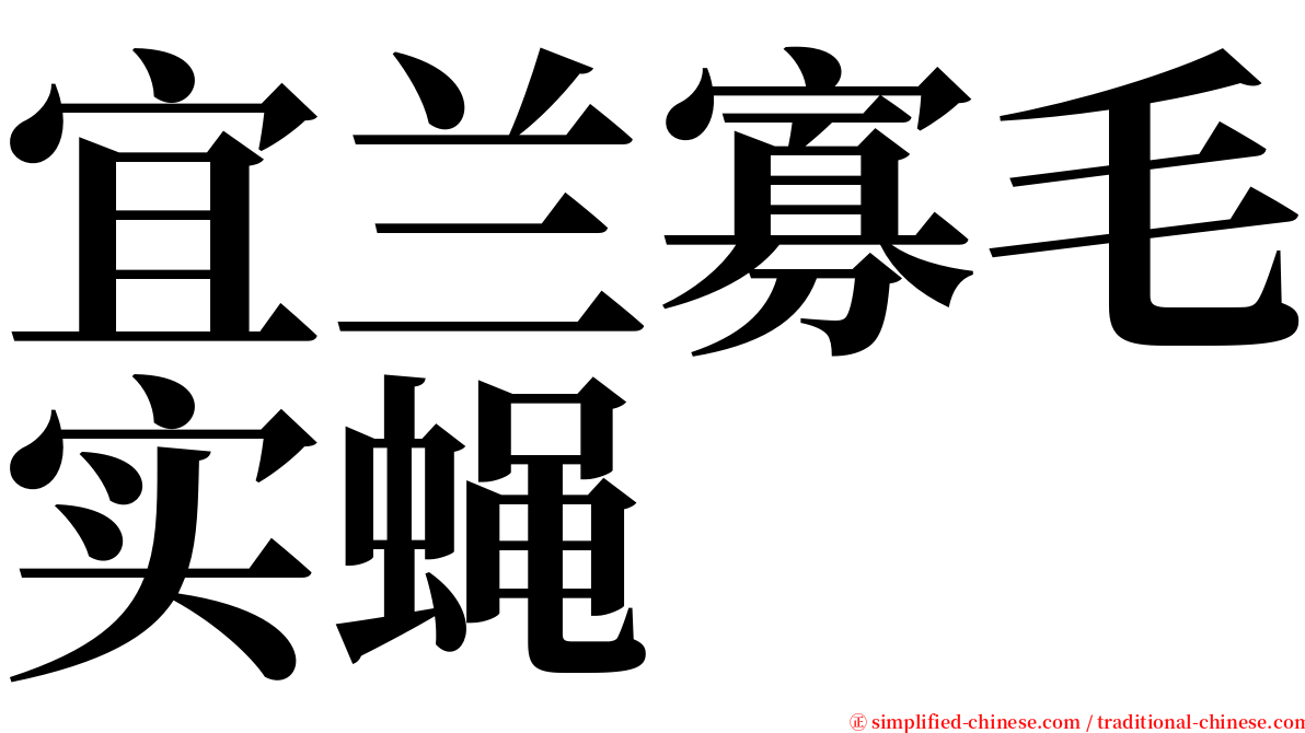 宜兰寡毛实蝇 serif font