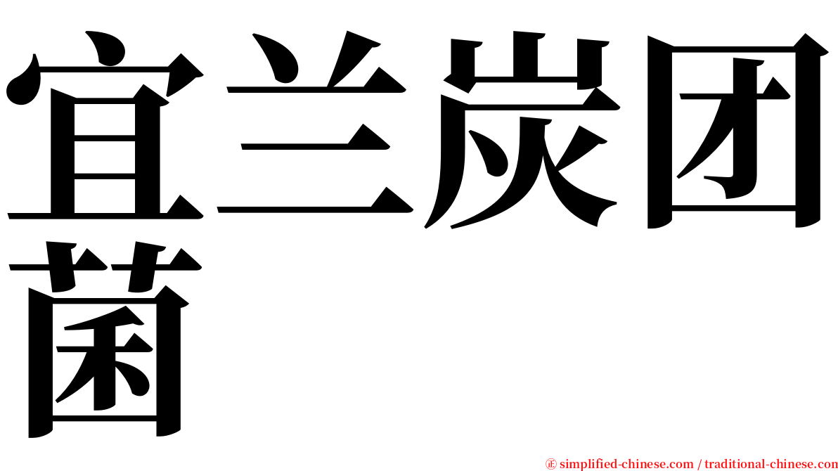 宜兰炭团菌 serif font