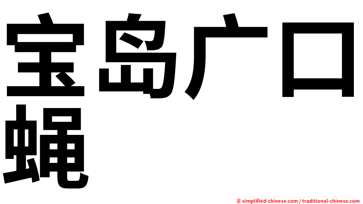 宝岛广口蝇