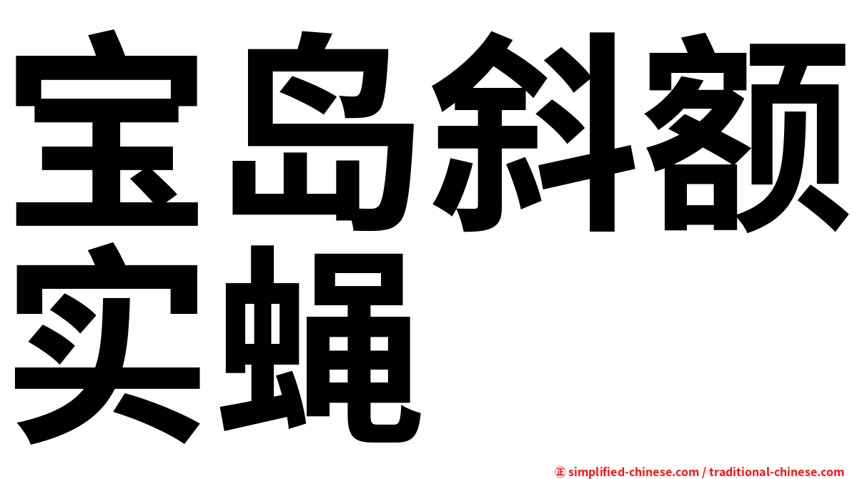 宝岛斜额实蝇