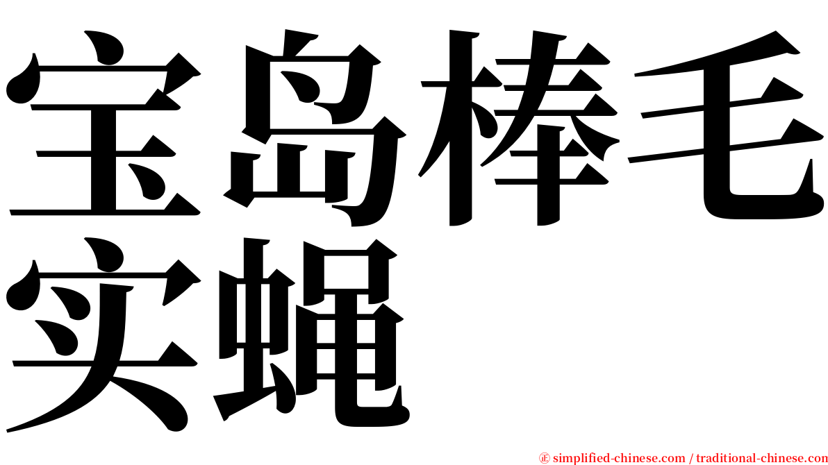 宝岛棒毛实蝇 serif font