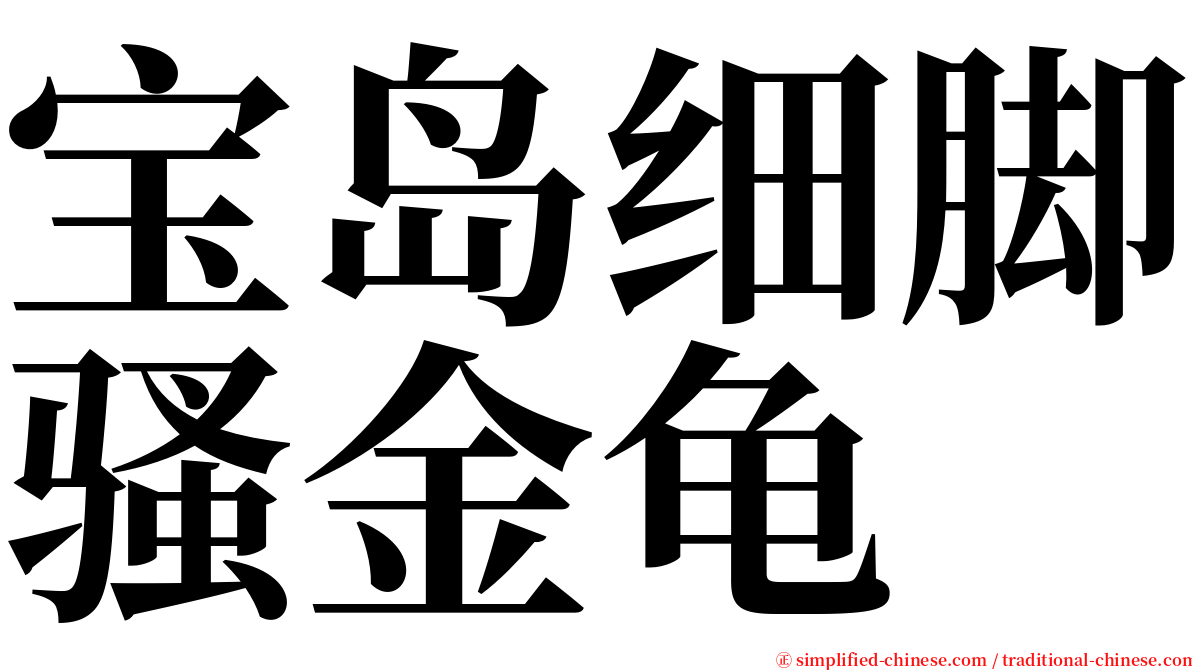 宝岛细脚骚金龟 serif font