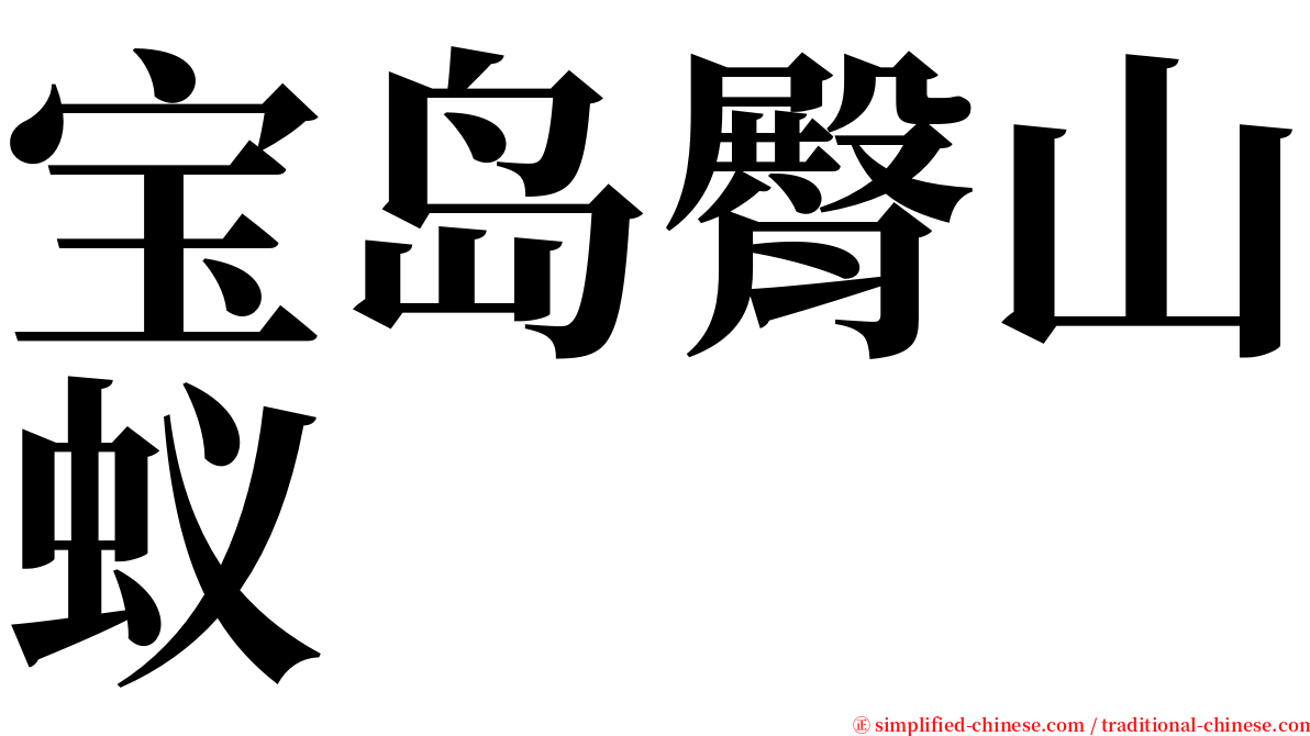 宝岛臀山蚁 serif font