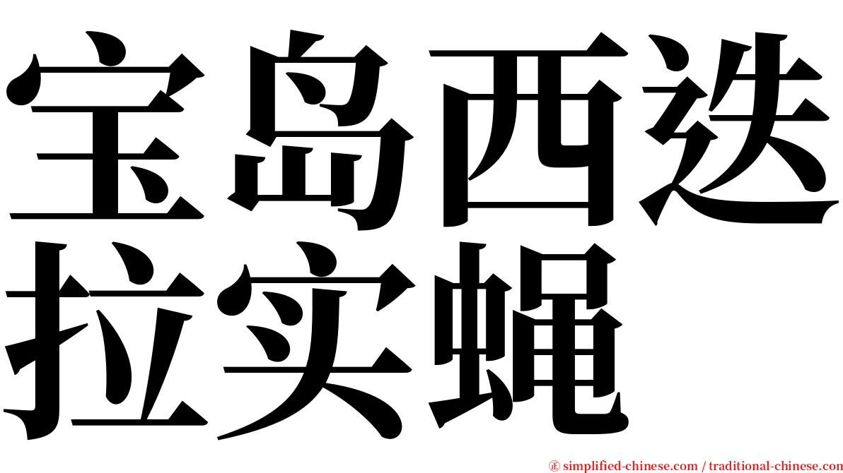 宝岛西迭拉实蝇 serif font