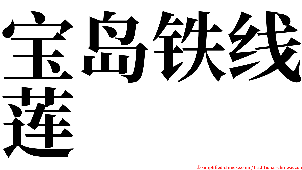 宝岛铁线莲 serif font