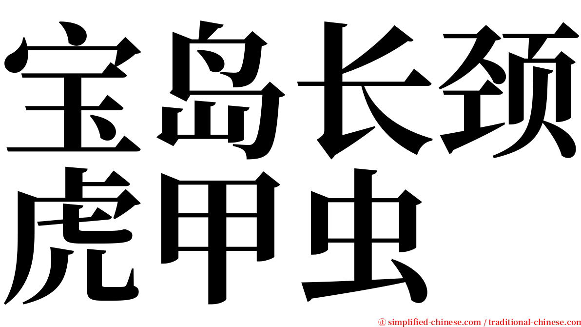 宝岛长颈虎甲虫 serif font