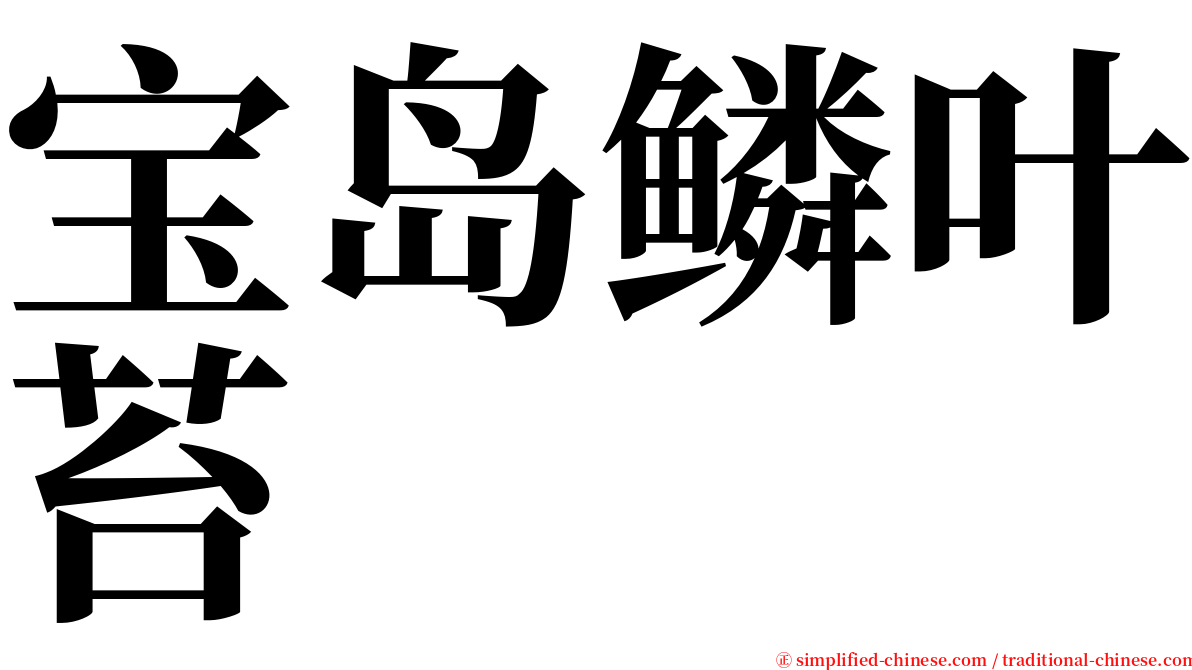 宝岛鳞叶苔 serif font