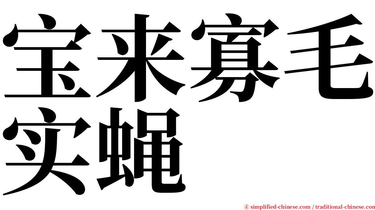 宝来寡毛实蝇 serif font