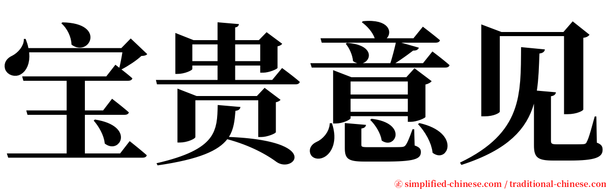 宝贵意见 serif font