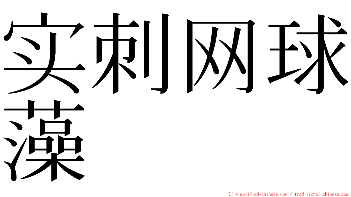 实刺网球藻 ming font