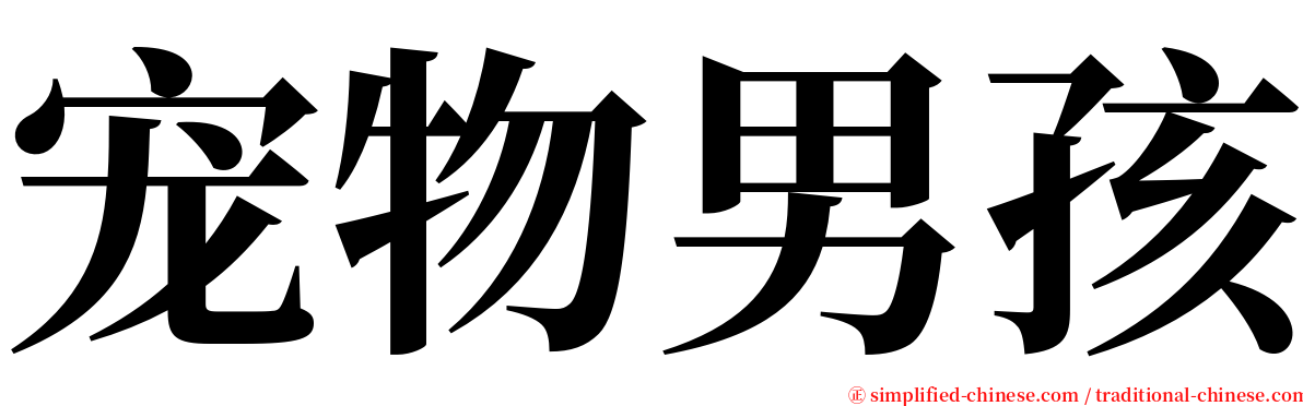 宠物男孩 serif font