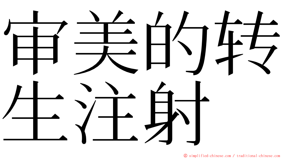 审美的转生注射 ming font