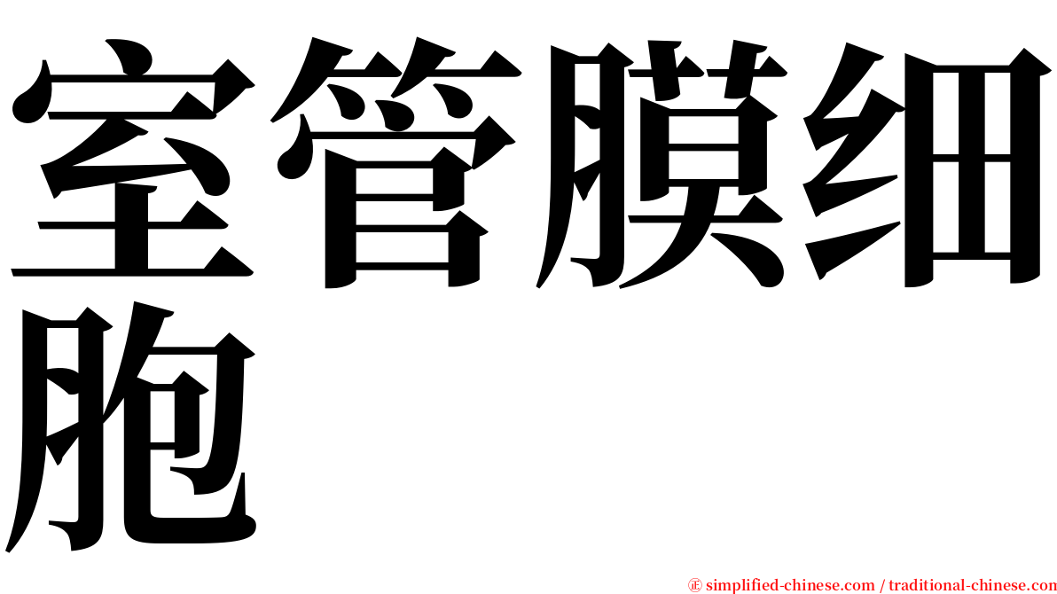 室管膜细胞 serif font