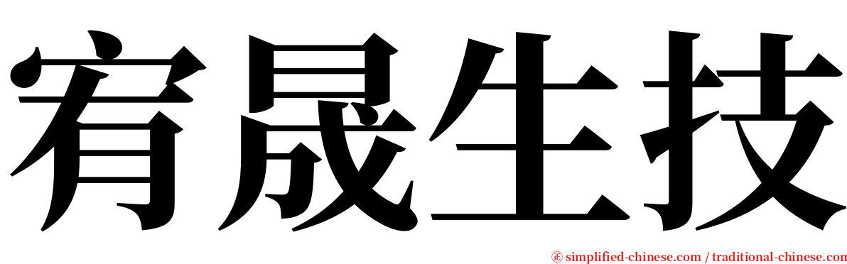 宥晟生技 serif font