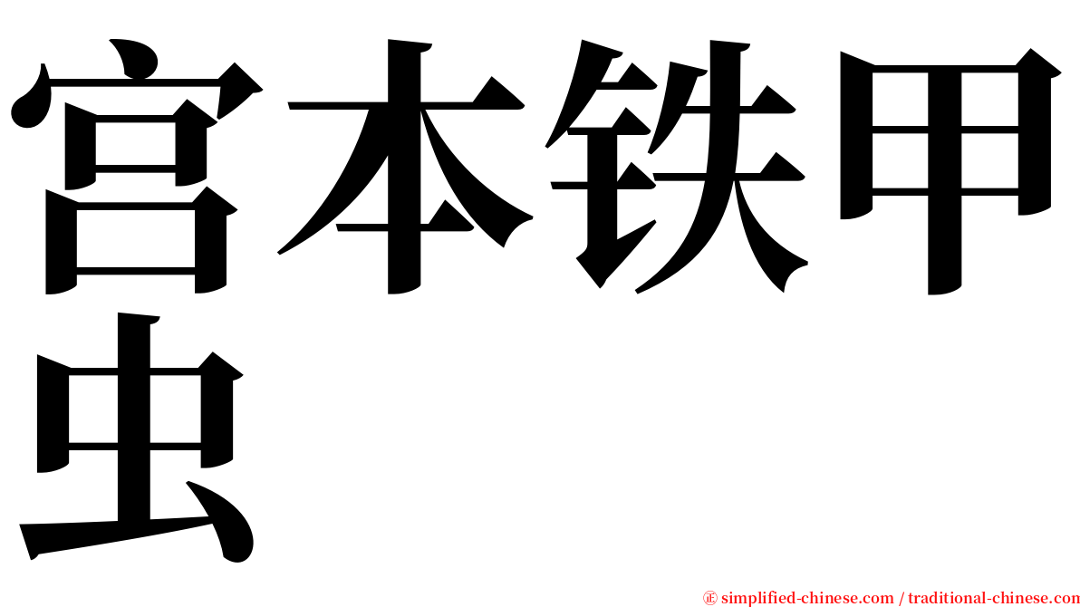 宫本铁甲虫 serif font