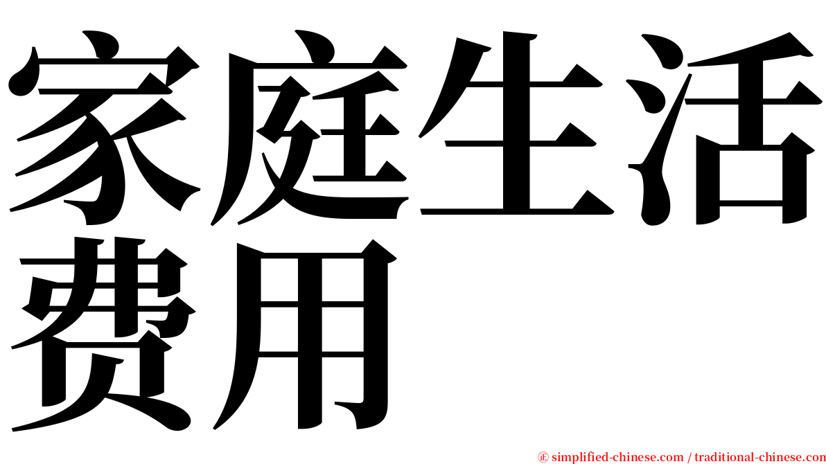 家庭生活费用 serif font