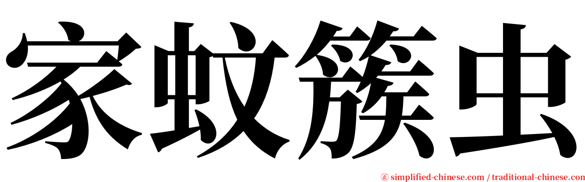 家蚊簇虫 serif font