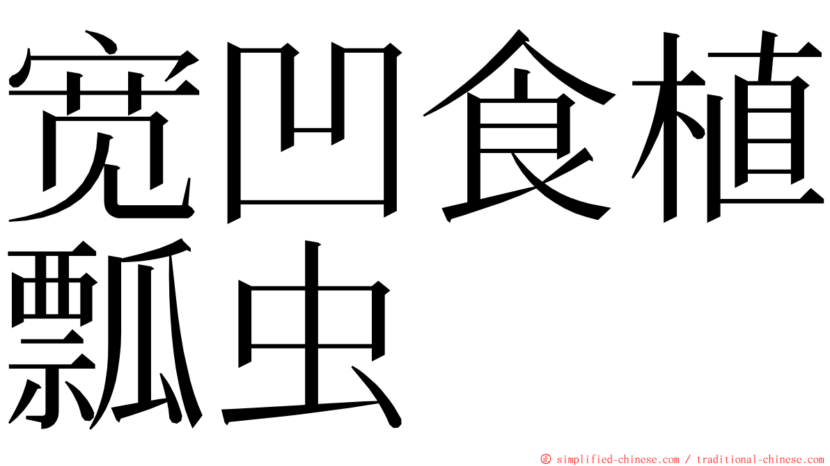 宽凹食植瓢虫 ming font