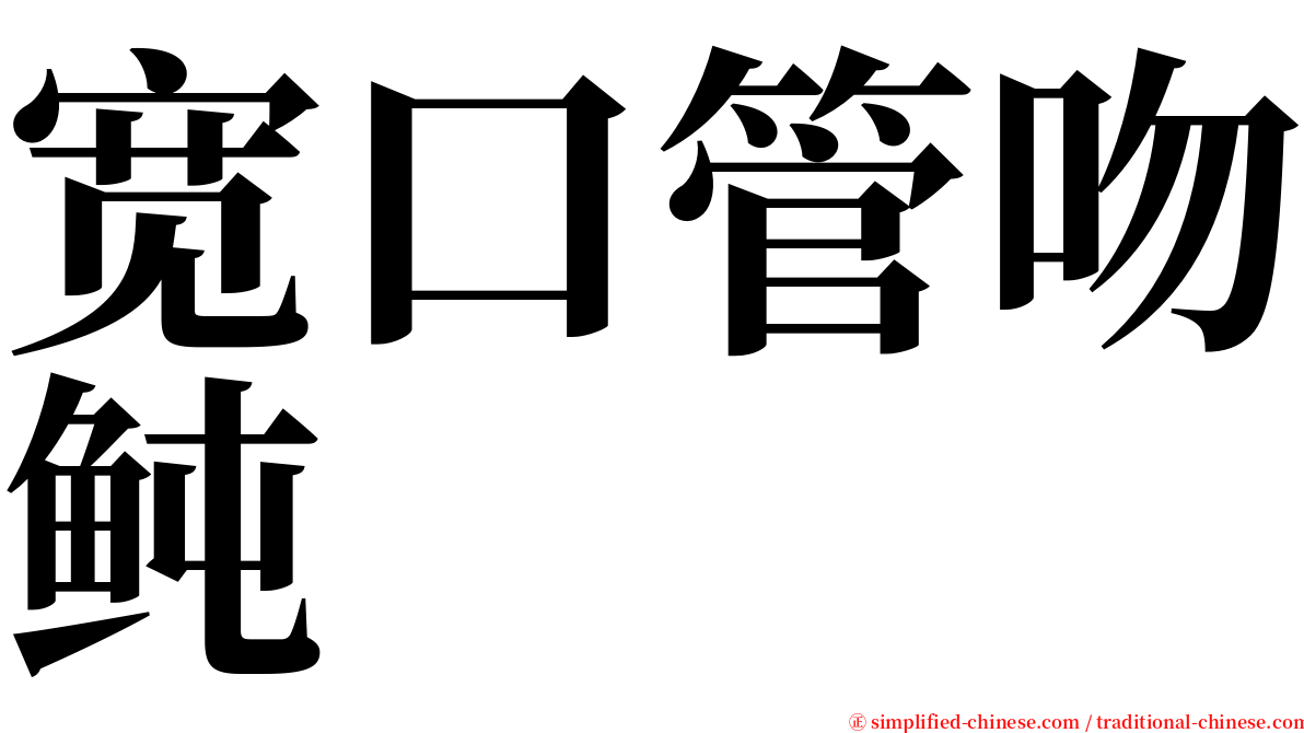 宽口管吻鲀 serif font