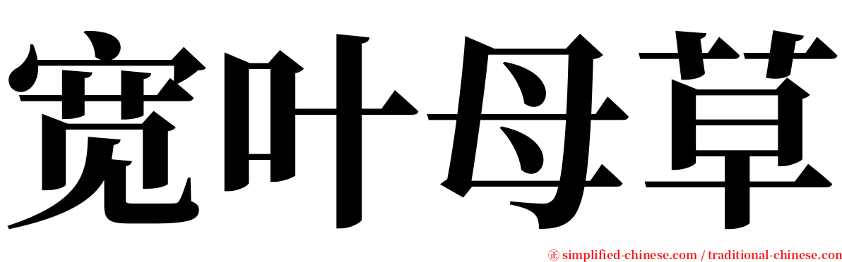 宽叶母草 serif font