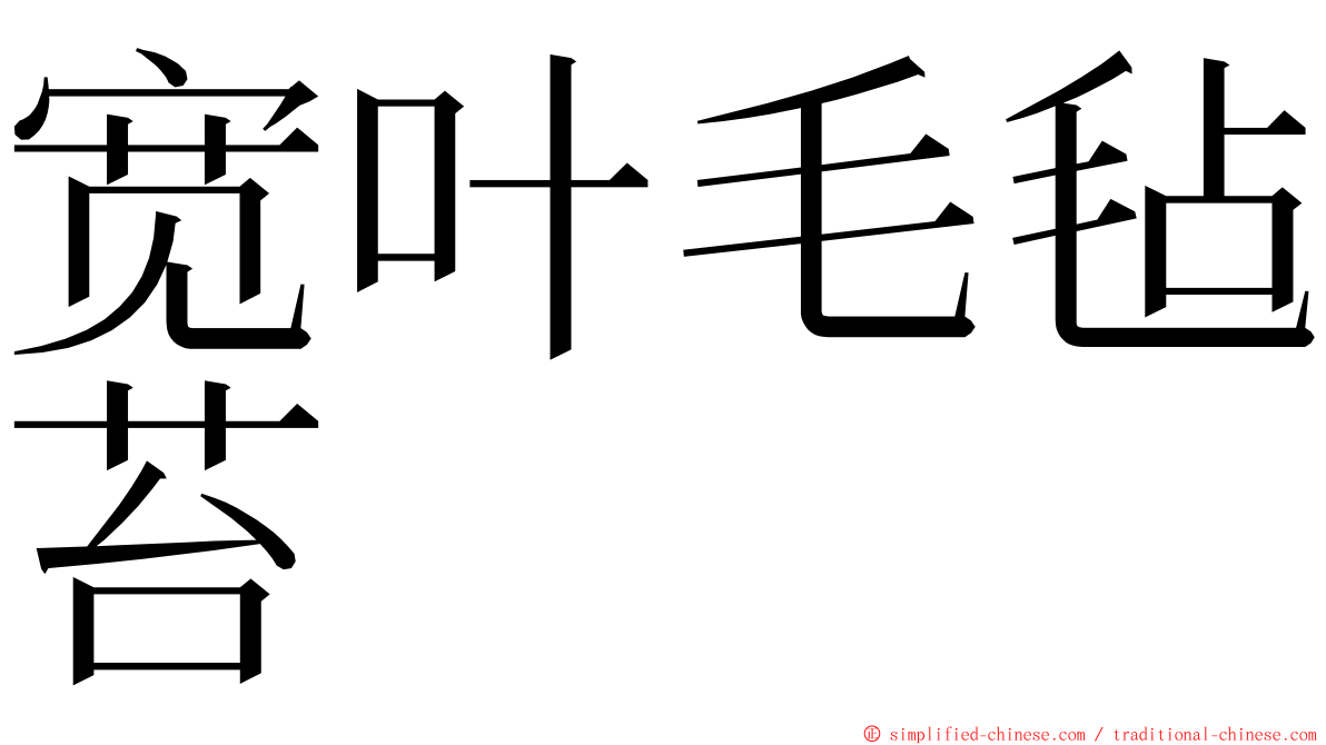 宽叶毛毡苔 ming font