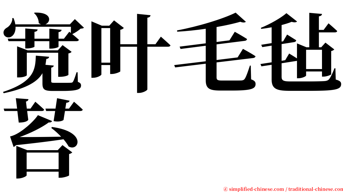 宽叶毛毡苔 serif font