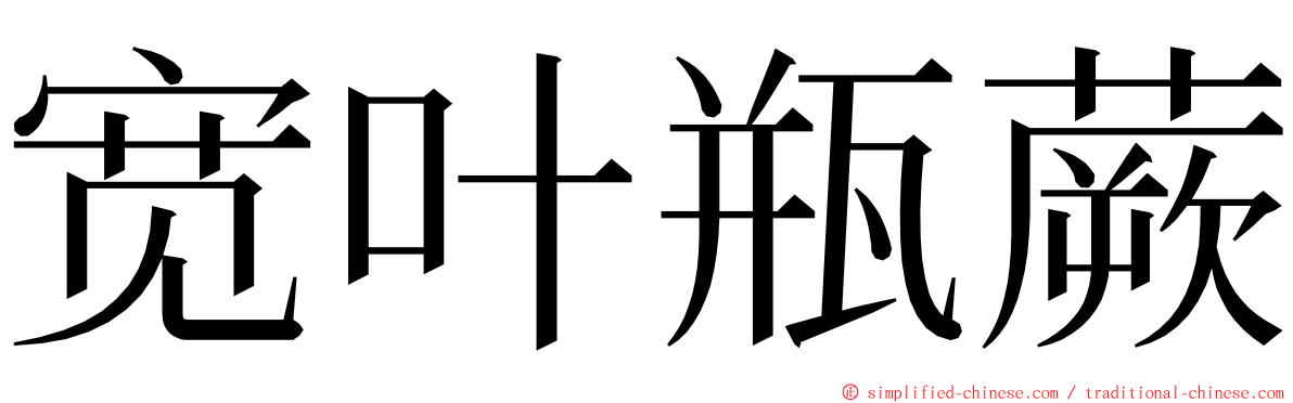 宽叶瓶蕨 ming font