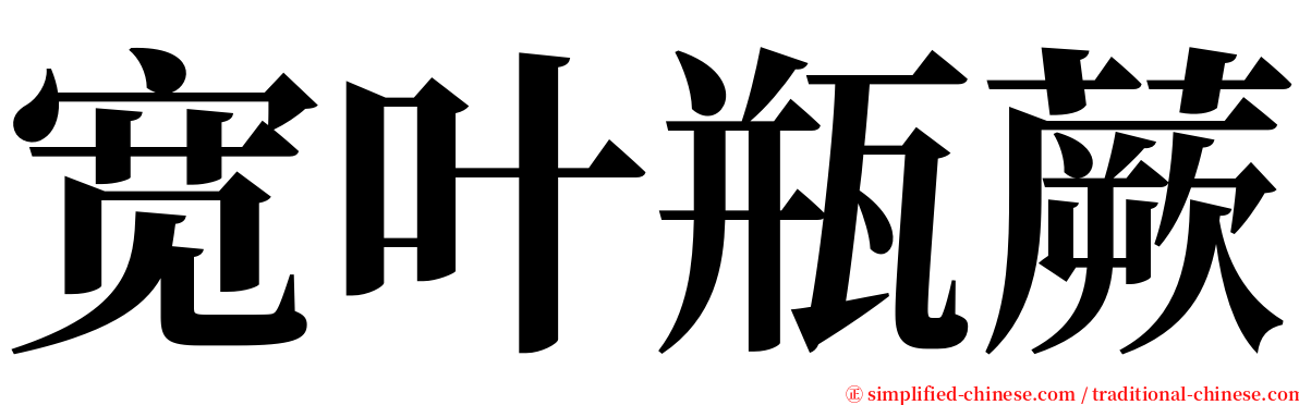 宽叶瓶蕨 serif font