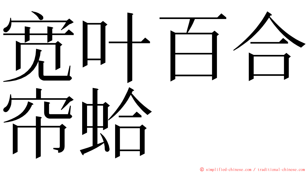 宽叶百合帘蛤 ming font