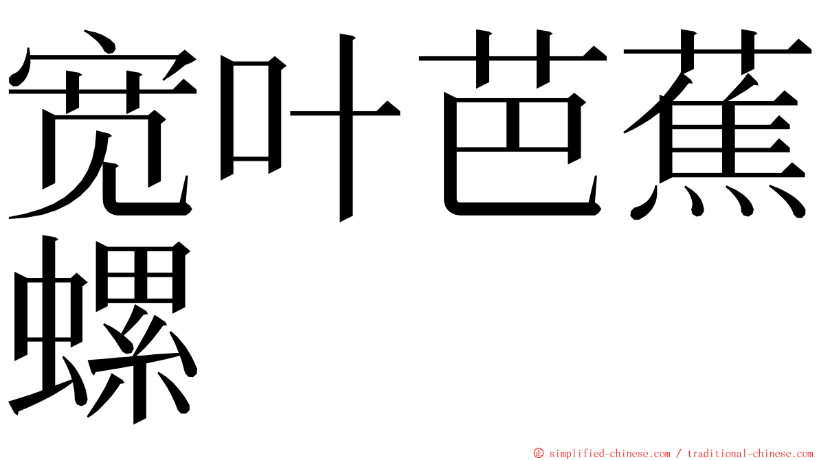 宽叶芭蕉螺 ming font