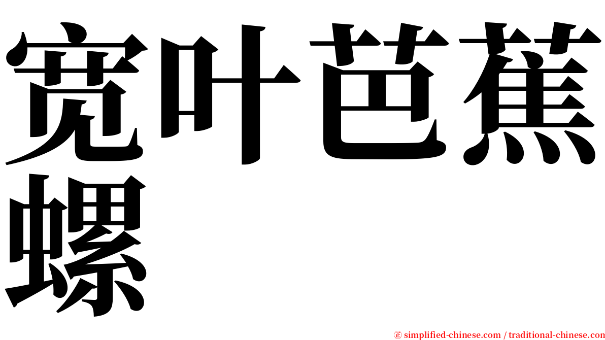 宽叶芭蕉螺 serif font