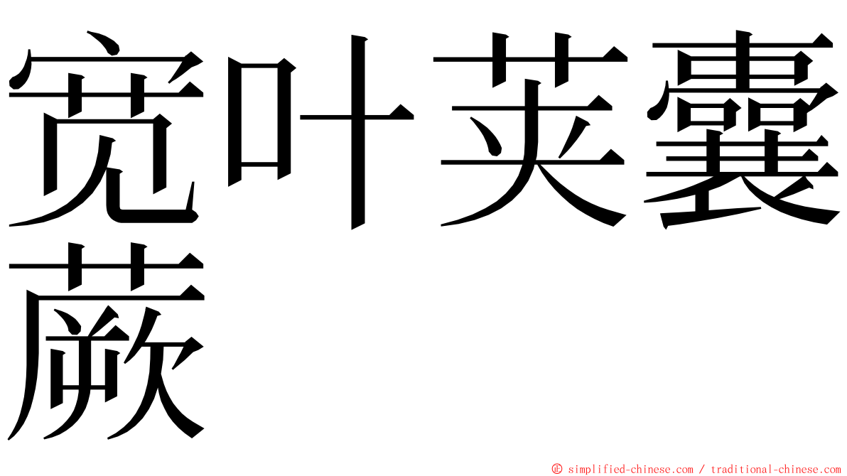 宽叶荚囊蕨 ming font