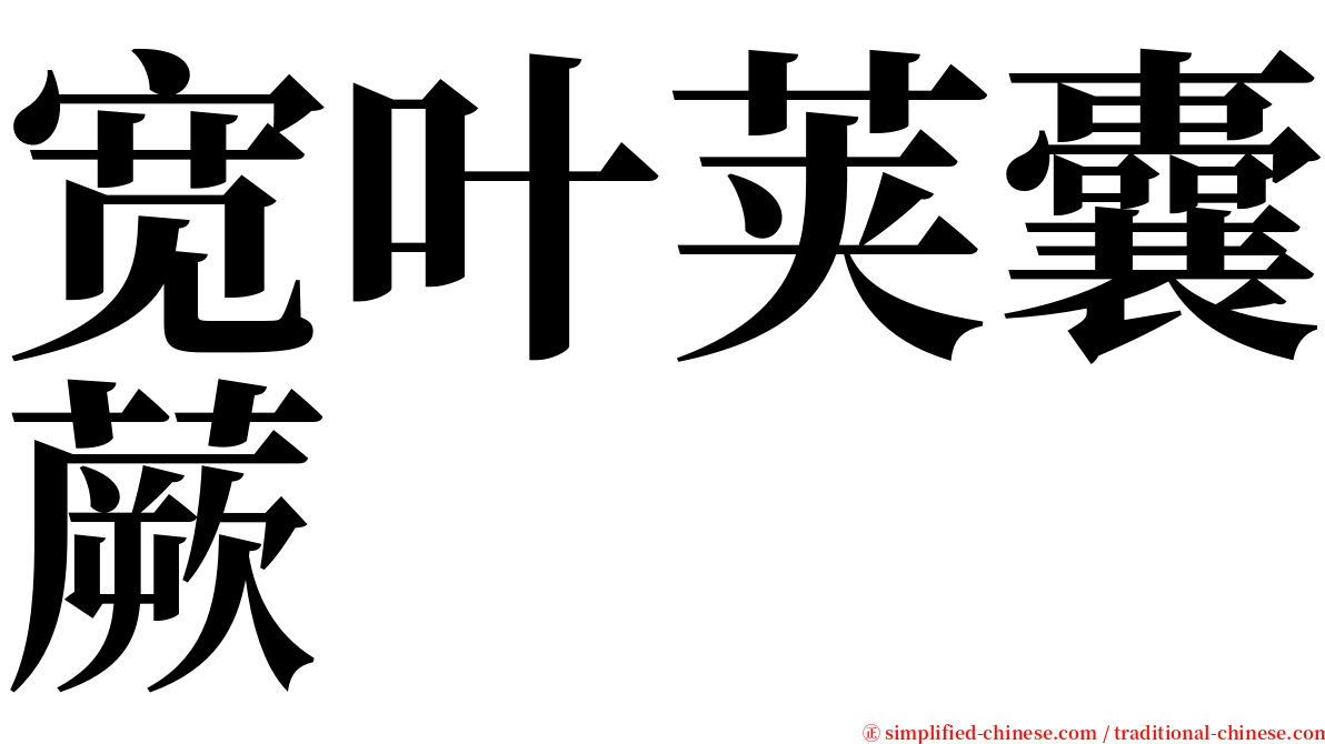 宽叶荚囊蕨 serif font