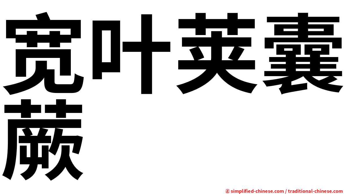 宽叶荚囊蕨