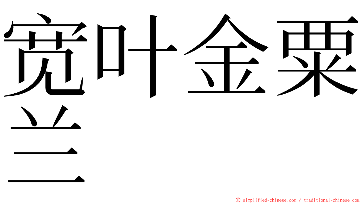 宽叶金粟兰 ming font