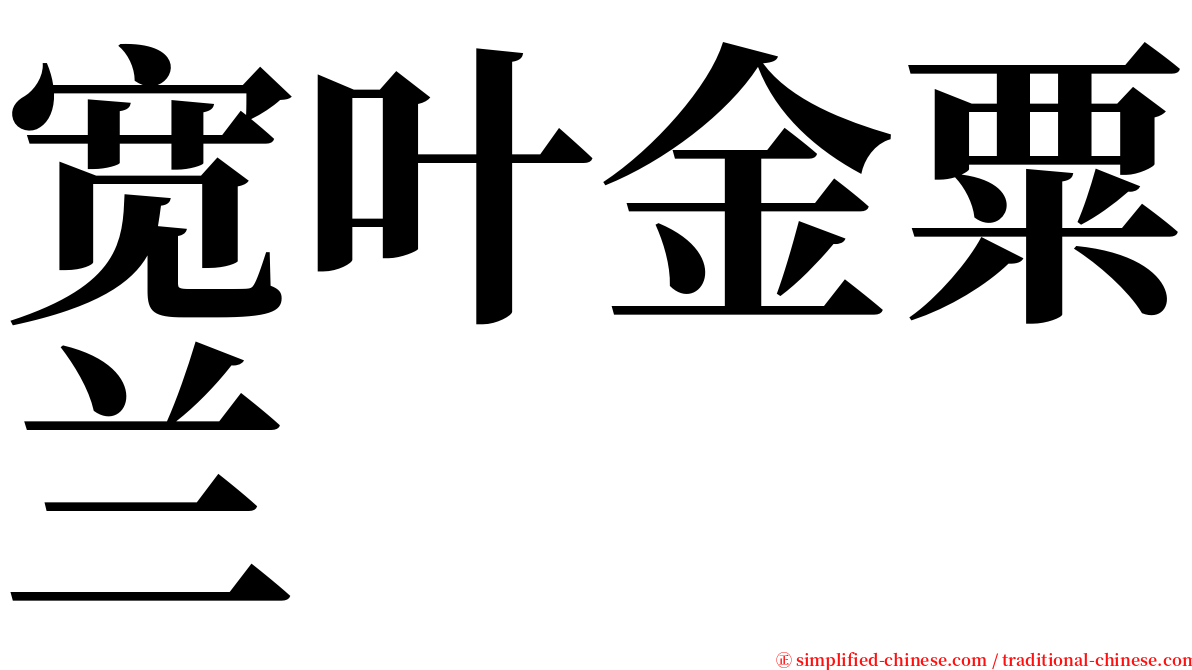 宽叶金粟兰 serif font